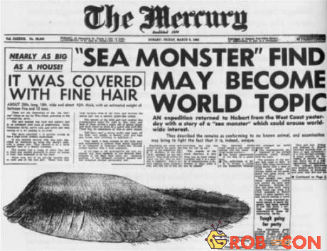 Thủy quái Tasmania trở thành đề tài bàn tán của dư luận ngay sau khi được phát hiện