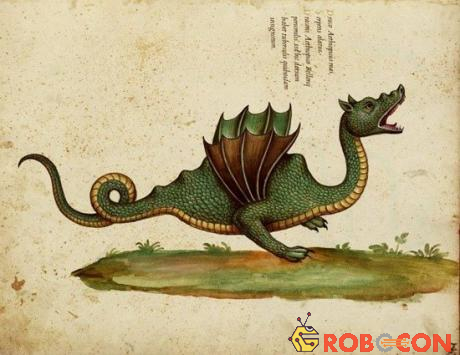 Hình vẽ rồng của nhà khoa học Aldrovandi