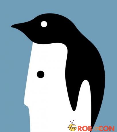 Bạn thấy một chú chim cánh cụt hay khuôn mặt người đàn ông?