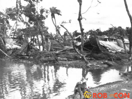 Cảnh vật hoang tàn sau khi cơn bão khủng khiếp quét qua bờ biển vịnh Bengal, đông Pakistan và Bangladesh.