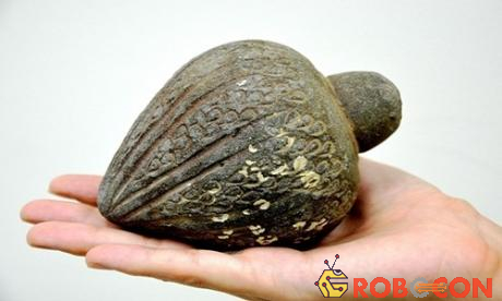 Quả lựu đạn khoảng 700 năm tuổi được tìm thấy dưới biển Israel