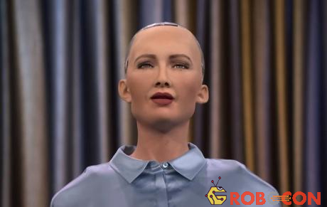 Sophia là sản phẩm sáng tạo của chuyên gia robot Mỹ David Hanson.