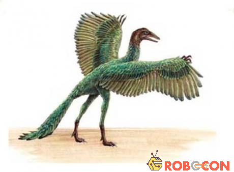 Con Archaeopteryx - tổ tiên của loài chim ngày nay.