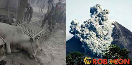 Núi lửa Merapi là một trong những núi lửa hoạt động mạnh nhất ở Indonesia. 