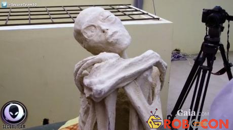 Mặc dù nhiều người dùng mạng cho rằng “xác ướp” chỉ là một tác phẩm điêu khắc, video vẫn lan truyền chóng mặt.