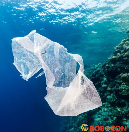 Ngày càng có nhiều chất thải nhựa trong đại dương