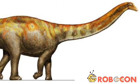 Hình ảnh phục dựng về loài khủng long Galeamopus pabsti sống ở kỷ Jura tại Wyoming, Mỹ. Ảnh: phys.org.