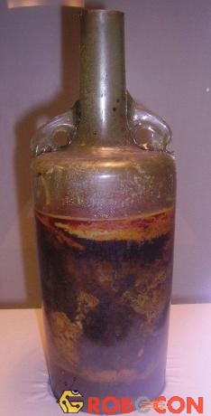 Bình rượu vang cổ Speyer được trưng bày ở Đức.