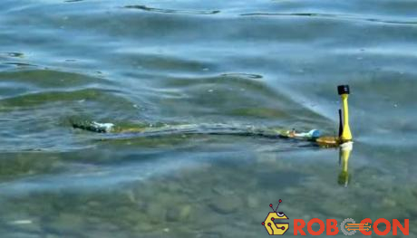 Robot lươn có khả năng phát hiện ô nhiễm trong nước. 