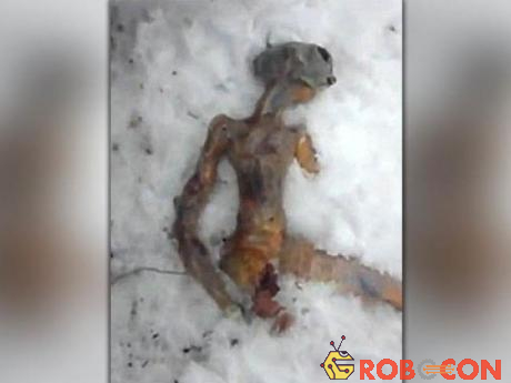 Phát hiện người ngoài hành tinh chết cóng trong rừng Nga?