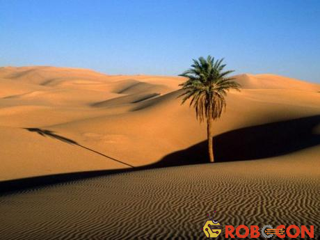 99% diện tích Libya là sa mạc thậm chí một số vùng ở Libya chưa từng mưa trong suốt nhiều thập niên qua.