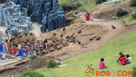 Người Tây Tạng thường mang xác người thân đến một gò đất rộng hoặc nơi hẻo lánh để mai táng