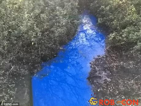 Màu của dòng sông bị đổi thành màu xanh dương 