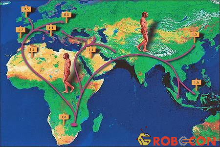 Tổ tiên loài người đã bắt đầu di cư vòng quanh thế giới
