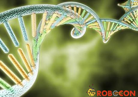 Tìm hiểu về liệu pháp gene