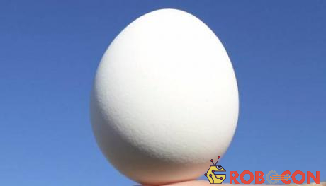 Chúng ta có thể đặt quả trứng cân bằng trên tay vào mọi thời điểm trong năm. 