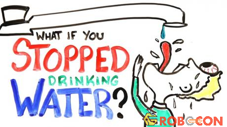 Bạn có thể sống bao lâu nếu không có nước?