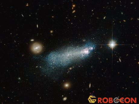Vật chất tối là nhân tố quyết định về số lượng cũng như mật độ của các thiên hà lùn.