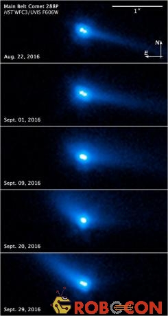 Một loạt các bức ảnh của đối tượng 288P mà kính viễn vọng không gian Hubble đã chụp.