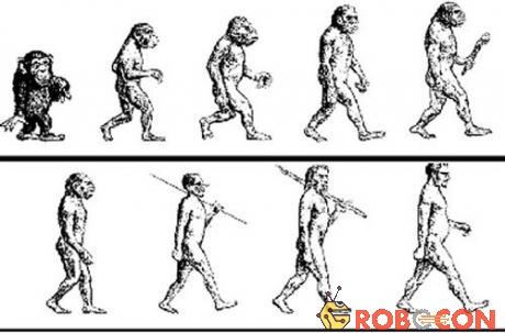 Quá trình tiến hóa của loài người theo học thuyết của Darwin.