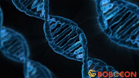 DNA - câu trả lời cho ngành di truyền học.