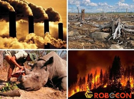 5 cuộc Đại Tuyệt chủng đáng sợ trong lịch sử Trái đất