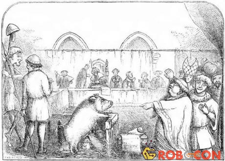 Vào thời Trung cổ, lợn cũng phải hầu tòa… như người!