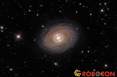 Thiên hà NGC 1398.
