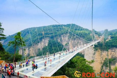 Cầu đáy kính công viên rừng quốc gia Trương Gia Giới, tỉnh Hồ Nam, Trung Quốc