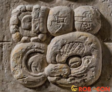 Biểu tượng của triều đại các vị vua rắn huyền bí xuất hiện ở nhiều nơi liên quan đến nền văn minh Maya