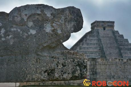 Tàn tích kim tự tháp gắn với triều đại của các vị Vua Rắn ở Maya.