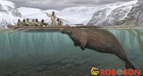 Loài bò biển bị tuyệt chủng 27 năm sau khi được con người phát hiện.
