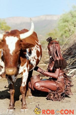Bộ lạc Himba vẫn duy trì lối sống du mục