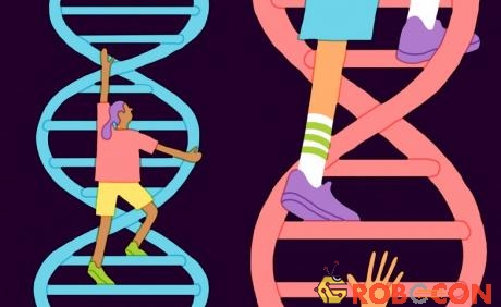 Các dự đoán trí thông minh căn cứ vào DNA có độ chính xác không cao. 