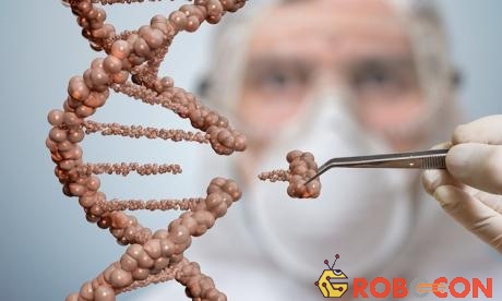 Công nghệ chỉnh sửa gene CRISPR