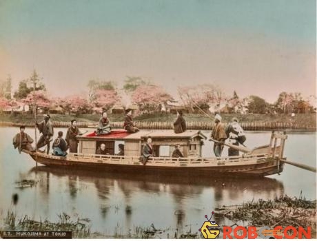 Chèo thuyền trên sông Sumida là một trong những trò tiêu khiển trong thời kỳ Edo.