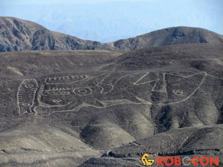 Một hình vẽ khổng lồ ở Palpa, Peru.