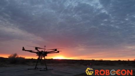 Thiết bị bay không người lái (drone) có thể tự động cung cấp số lượng chính xác các loài nguy cấp.