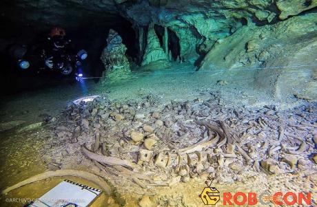 Khu khảo cổ dưới nước chứa nhiều đốt xương người bí ẩn. 