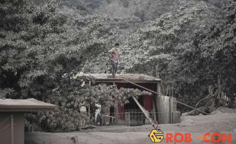 Một người đàn ông bần thần đứng trên mái nhà bao phủ tro núi lửa tại làng San Miguel Los Lotes ở tỉnh Escuintla.