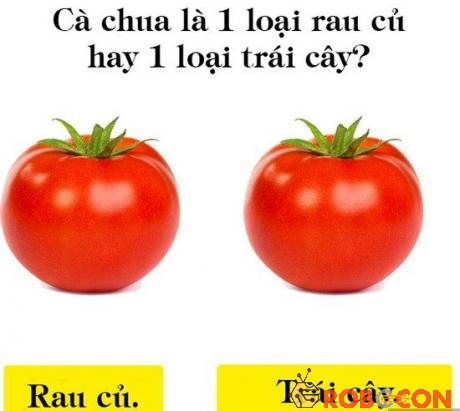 Cà chua là 1 loại rau củ hay trái cây?