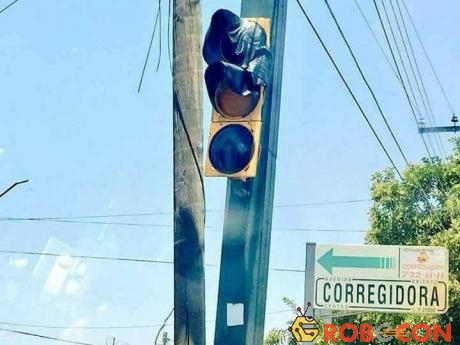 Cột đèn giao thông bị chảy tại thành phố Corregidora ở miền trung Mexico.