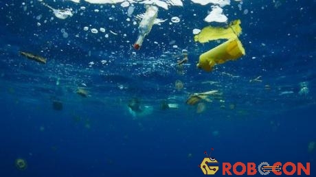 Thậm chí ở những vùng biển vắng vẻ nhất, bạn cũng có thể tìm thấy rác nhựa 
