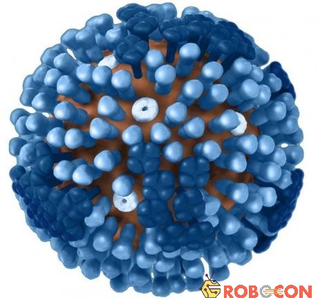 Virus cúm