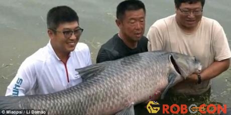Trong suốt một tiếng vật lộn với con cá, ông Li bị nó kéo xuống nước 6 lần.
