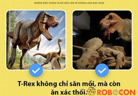 T-rex không chỉ săn mồi mà còn ăn xác thối