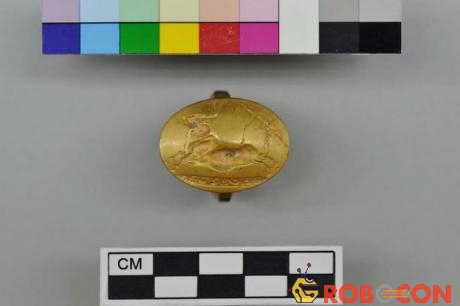 Một chiếc nhẫn vàng ròng được hé lộ từ ngôi mộ bí ẩn