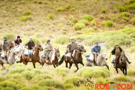 Cưỡi ngựa vừa là trò chơi khi đi du lịch, môn thể thao đồng thời là nét văn hóa của Argentina.