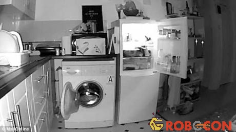 Cửa máy giặt và tủ lạnh dù đã được đóng chặt vẫn tự mở ra vào mỗi đêm. 
