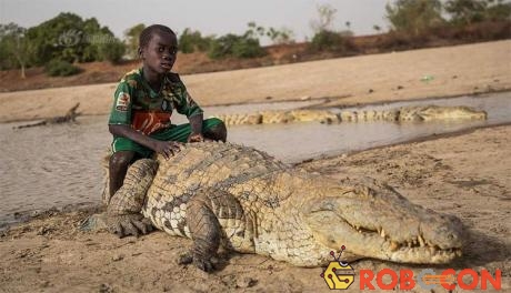Người dân làng Bazoule có mối quan hệ thân thiết với cá sấu.